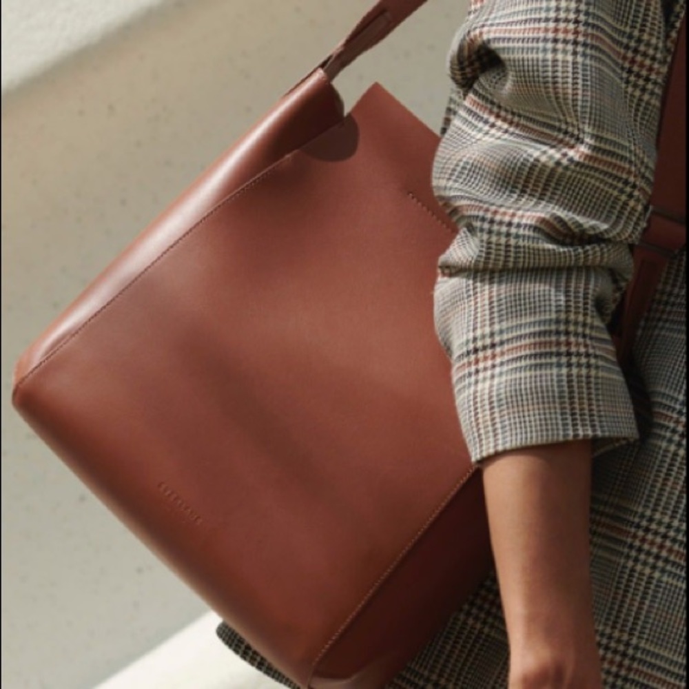 Everlane the form bag